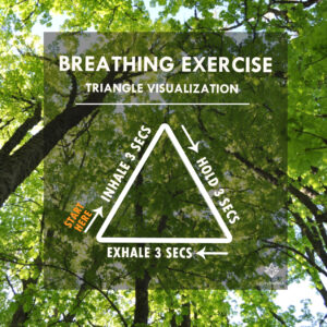 MindfulText-Breathing-Exercise-Triangle-Visualization - MindfulText